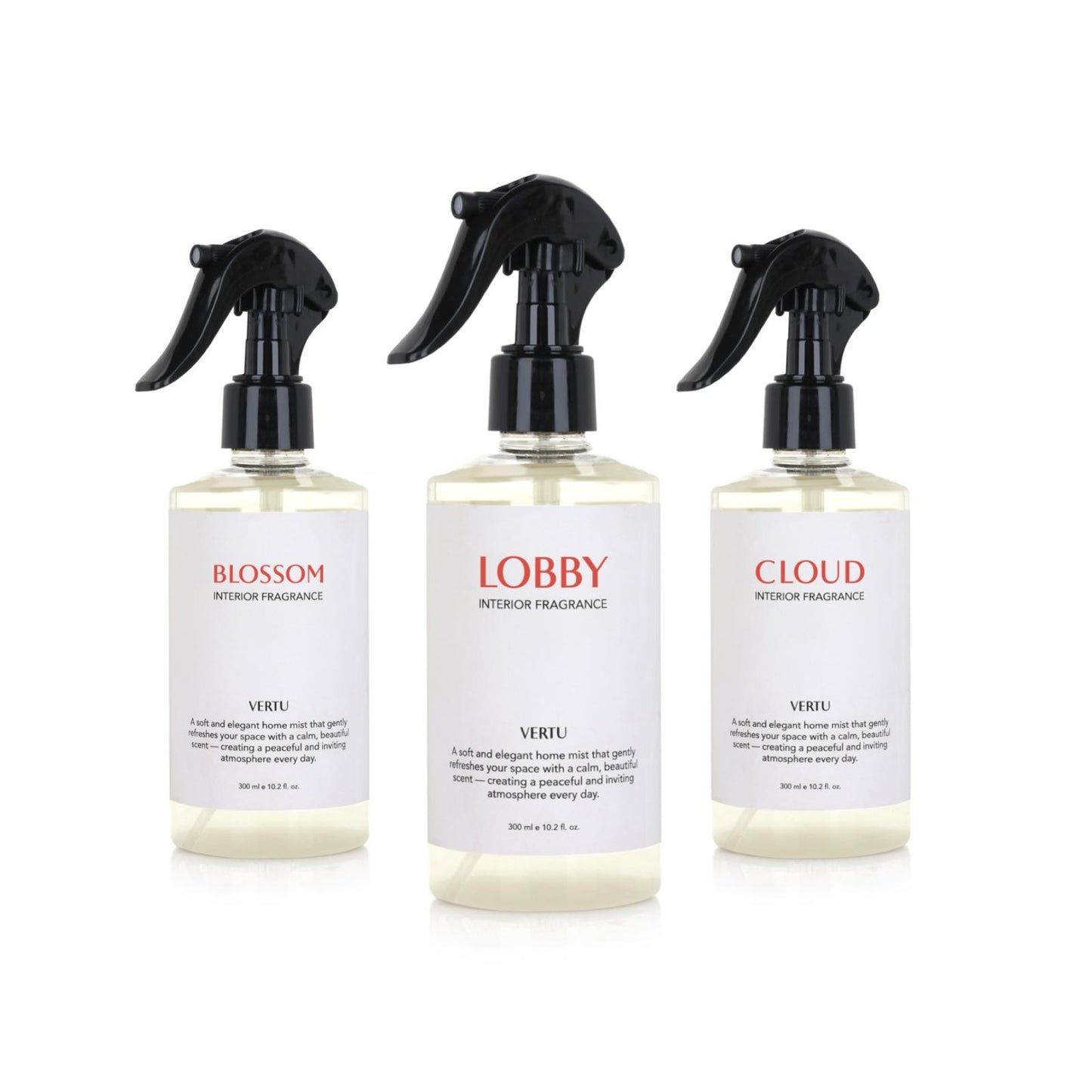 Home Spray Set